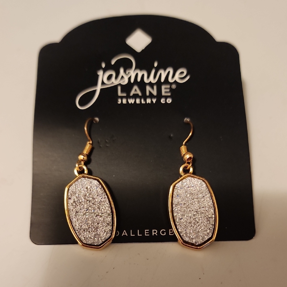 Silver Stone And Gold Accent Earrings
